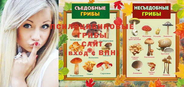 ешки Абаза