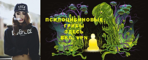 индика Абдулино