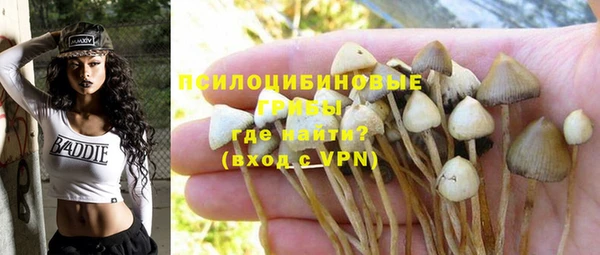 индика Абдулино